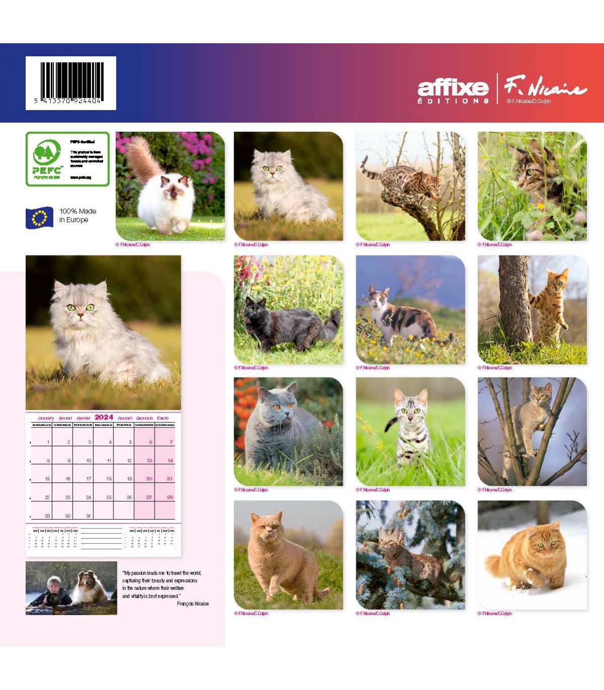 Calendrier mural jeux chats 2024