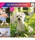 West Highland White Terrier 2024