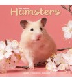 Hamsters 2025