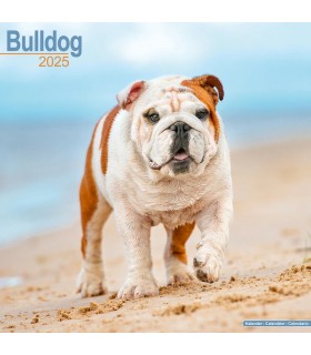 Bulldog 2025